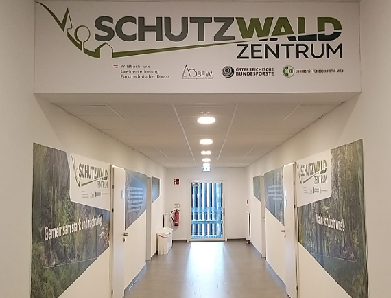 Schutzwaldzentrum am Waldcampus Österreich, Gang mit Zugang zu den Räumen des Schutzwaldzentrums