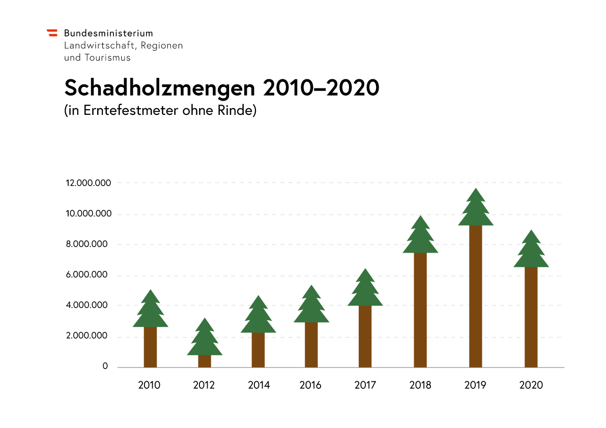 Infografik: Schadholzmengen 2010 bis 2020 (in Erntefestmeter ohne Rinde. Ein Balkendiagramm mit Balken in Form von Tannenbäumen zeigt die Entwicklung seit 2010 an. 2010 lag die Schadholzmenge bei etwa 5.000.000 Erntefestmetern, 2012 sank sie deutlich ab, um von 2014 bis 2019 wieder anzusteigen. 2019 ist ein Höchstwert von knapp 12.000.000 Erntefestmetern. 2020 liegt etwas darunter, aber weiterhin hoch bei etwas unter 9.000.000 Erntefestmetern.