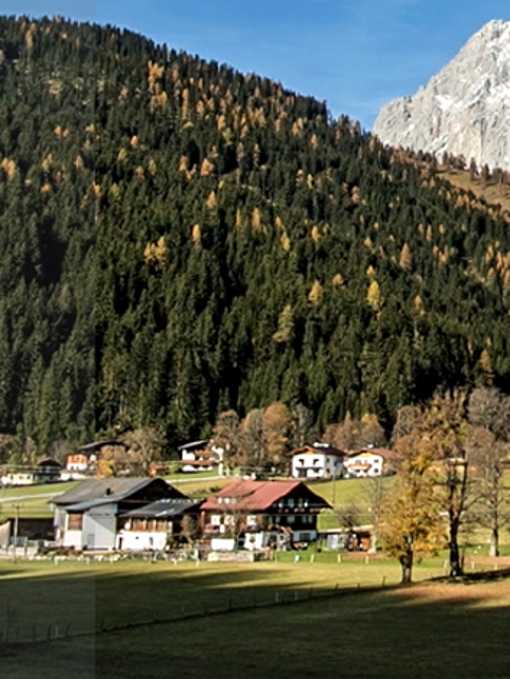 Vielfältige Leistungen des Schutzwaldes in Österreich 