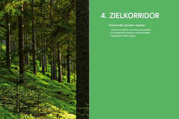 Schutzwald attraktiv machen