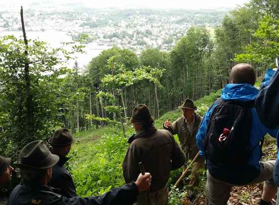 Schutzwald lernen und begreifen