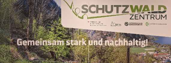 Schutzwaldzentrum - Gemeinsam stark und nachhaltig!