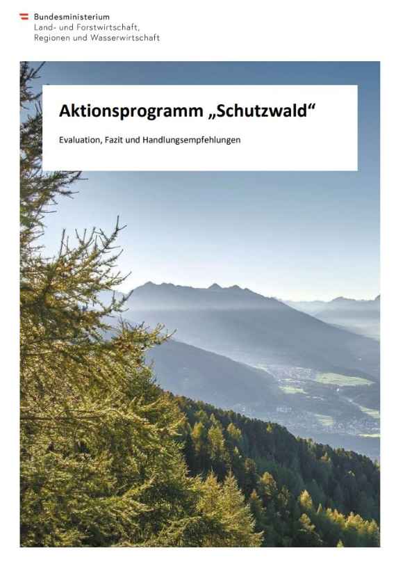 Endbericht Aktionsprogramm Schutzwald