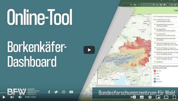 Online-Tool Borkenkäfer-Dashboard