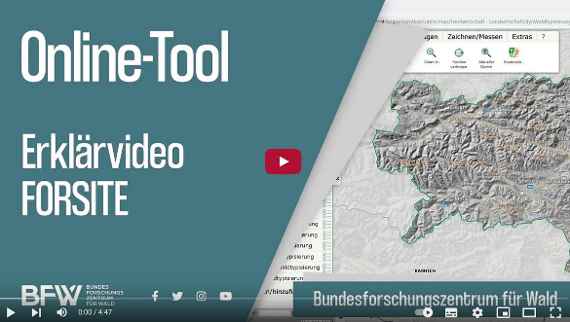 Online-Tool Dynamische Waldtypisierung