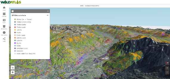 3D Baumartenkarte im WALDATLAS