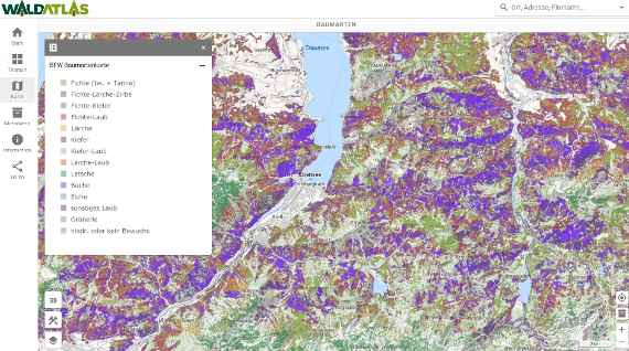 Baumartenkarte des BFW im WALDATLAS abrufbar