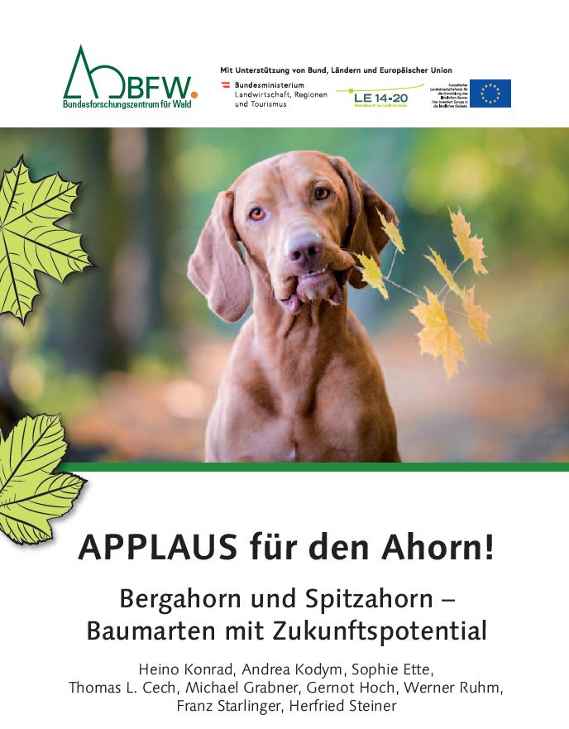 Publikation "Applaus für den Ahorn"