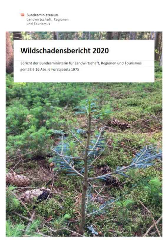 Wildschadensbericht 2020