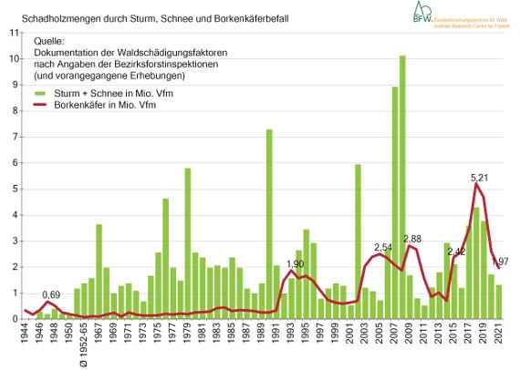 Vergleich der durch Sturm und Schnee verursachten Schadholzmengen mit den Borkenkäferschäden in Österreich.