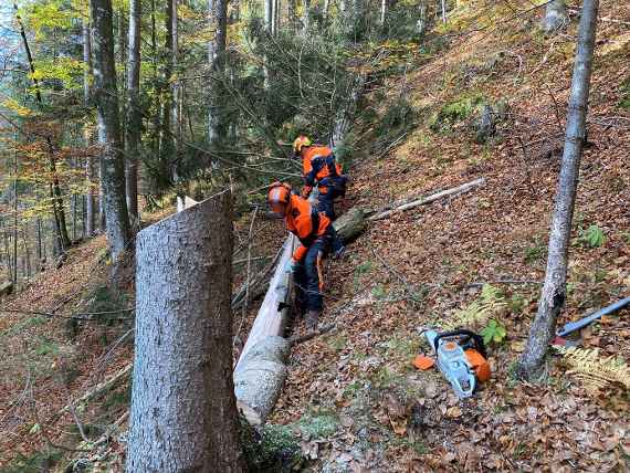 Schutzwaldbewirtschaftung – Das hohe Abstocken sorgt für eine Erhöhung der Oberflächenrauigkeit. 