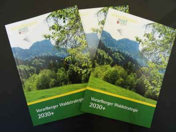 Publikation Handlungsanleitung für den Zukunftsraum Wald