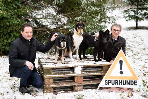 Einsatz von Spürhunden zur Bekämpfung von Wald-Schädlingen 