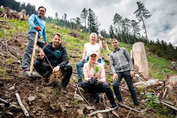 Aufforstungsaktion im Schutzwald