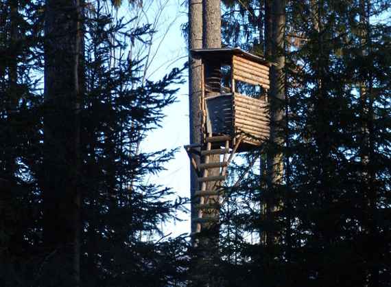 Hochstand