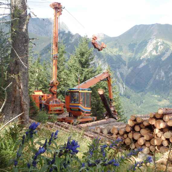 Seilkranbewirtschaftung im Schutzwald