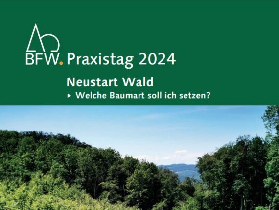 Ausschnitt des Einladungsfolders zum BFW-Praxistag Wald 2024