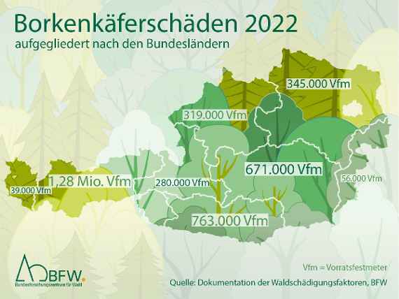 Borkenkäferschäden 2022 aufgelistet nach den Bundesländern