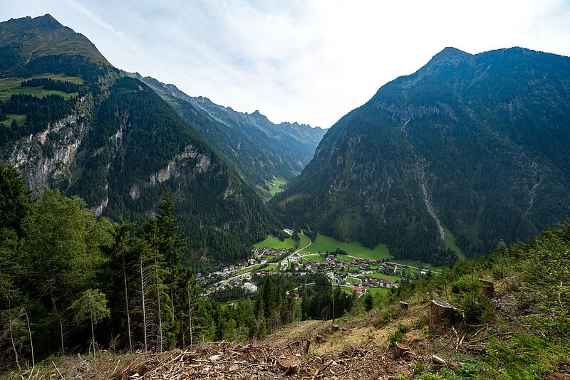 Schutzwald oberhalb der Ortschaft Ginzling im ÖBf-Forstrevier Hinteres Zillertal