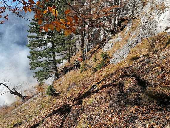 Von Waldbrand in Mitleidenschaft gezogene Fläche.
