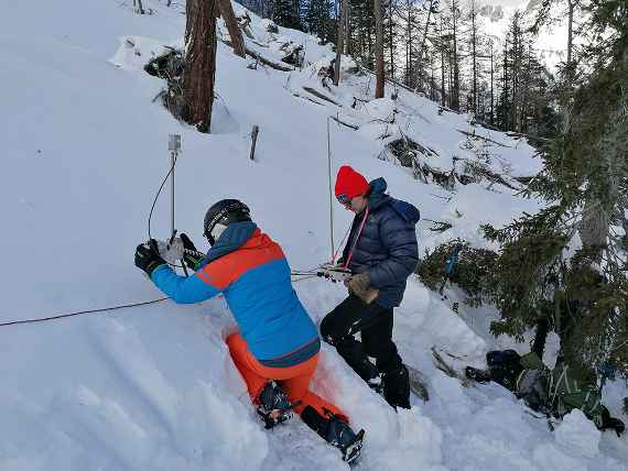 Schutzwälder im Alpenraum – Anpassungsstrategien an den Klimawandel