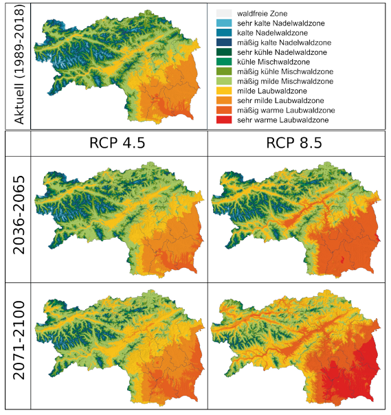 Verbreitung der Waldvegetationszonen unter aktuellen (1989-2018) und den prognostizierten Klimabedingungen des RCP4.5- und RCP8.5-Szenarios der mittleren (2036-2065) und fernen Zukunft (2071-2100) in der Steiermark.