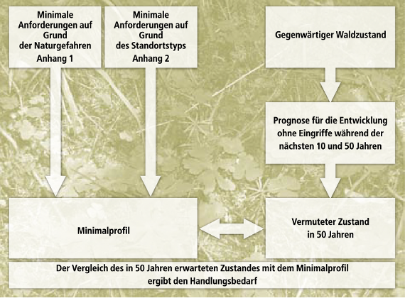 Schema für die Herleitung des Handlungsbedarfs. (NaiS)