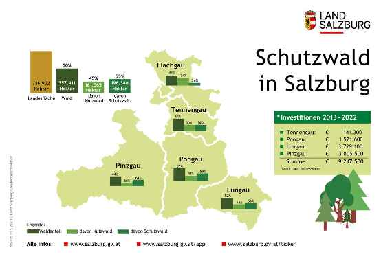 Mehr als die Hälfte des Salzburger Waldes ist Schutzwald. Der Pinzgau hat den größten Schutzwaldanteil im Bundesland.