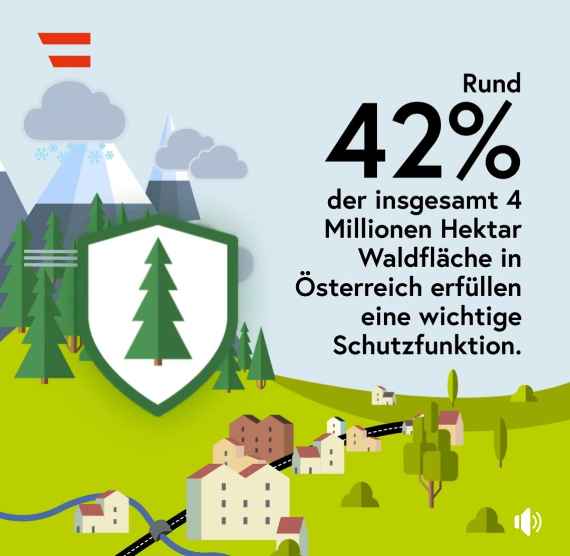 Schutzwald in Österreich