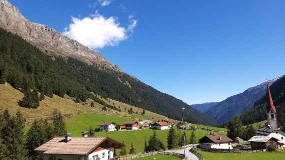 Schutzwald in Österreich