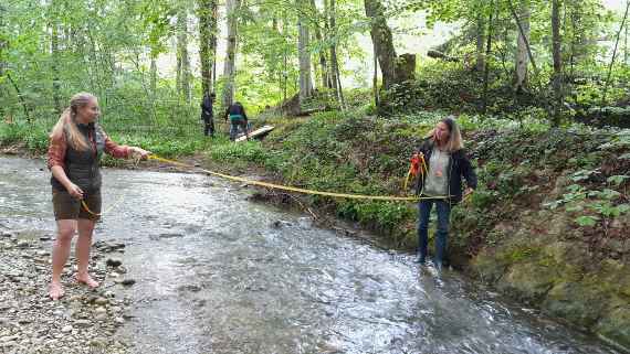 Der wilde Bach in der Waldpädagogik 