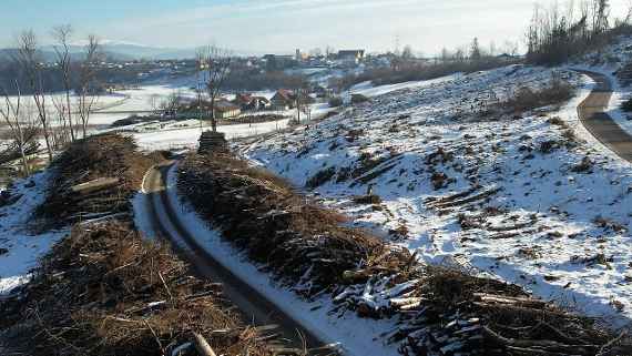 Der Boden ist durch den Schnee feucht genug für die Samen