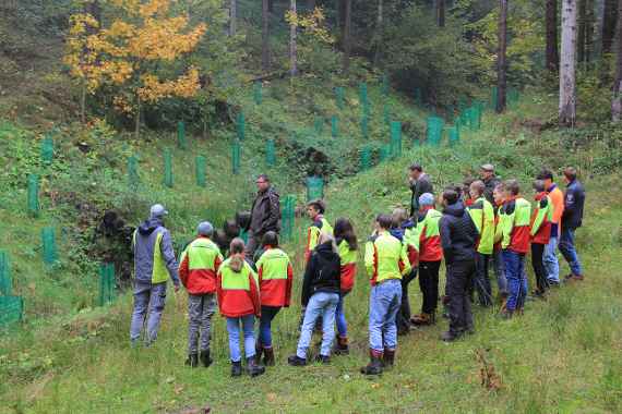 Woche des Schutzwaldes 2024: Praxiswoche an der LFS Kobenz - „Der Schutzwald vor der Haustüre“