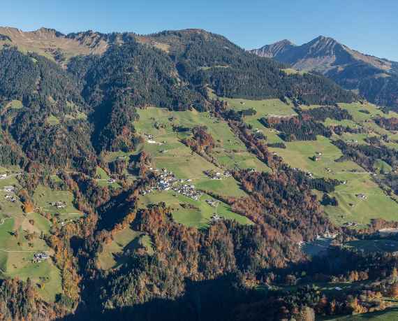 Schutzwald in Blons