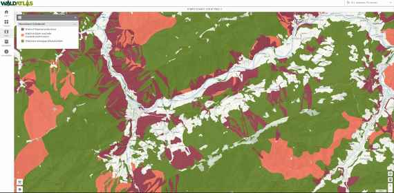 Schutzwälder im oberen Ybbstal. Kartenausschnitt aus der Geodatenplattform WALDATLAS, www.waldatlas.at