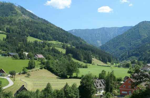 Die Schutzwälder im Bezirk dienen der Sicherung unseres Lebensraums.