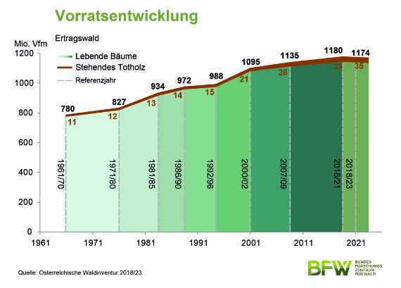 Vorratsentwicklung