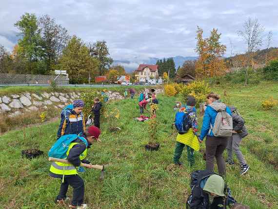 Aufforstungsaktion VS Goisern Aufforstungsaktion VS Goisern