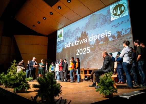 Schutzwaldpreis 2025: Verkündung des Siegers in der Kategorie Öffentlichkeitsarbeit