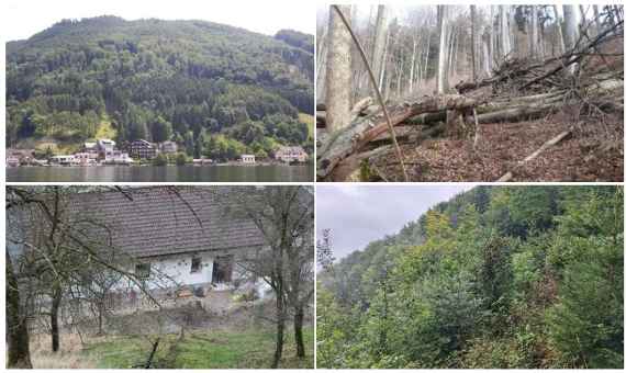 BANNWALDBEWIRTSCHAFTUNG GRÜNBERG