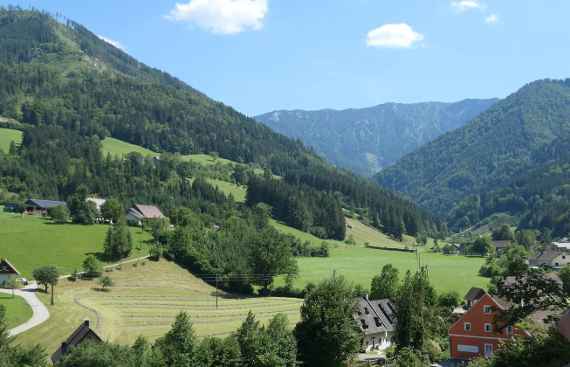 Blick auf typische Schutzwälder in Hollenstein an der Ybbs. Blick auf typische Schutzwälder in Hollenstein an der Ybbs.
