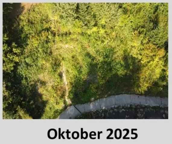 So sieht der Hang neben dem Radweg heute aus - die Bäume und Sträucher schützen vor Steinschlag und Hangrutsch