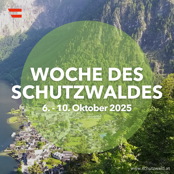 Woche des Schutzwaldes 2025