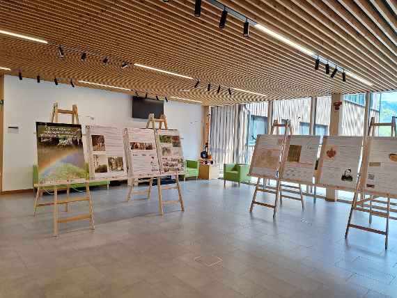 Posterausstellung Projekt HILUC am Waldcampus