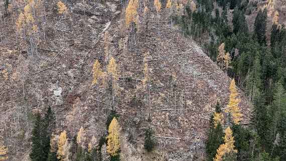 Übersichtbild Projektfläche