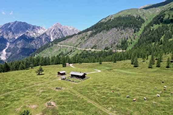 Herausforderungen im Schutzwald - Lesachtal Kärnten