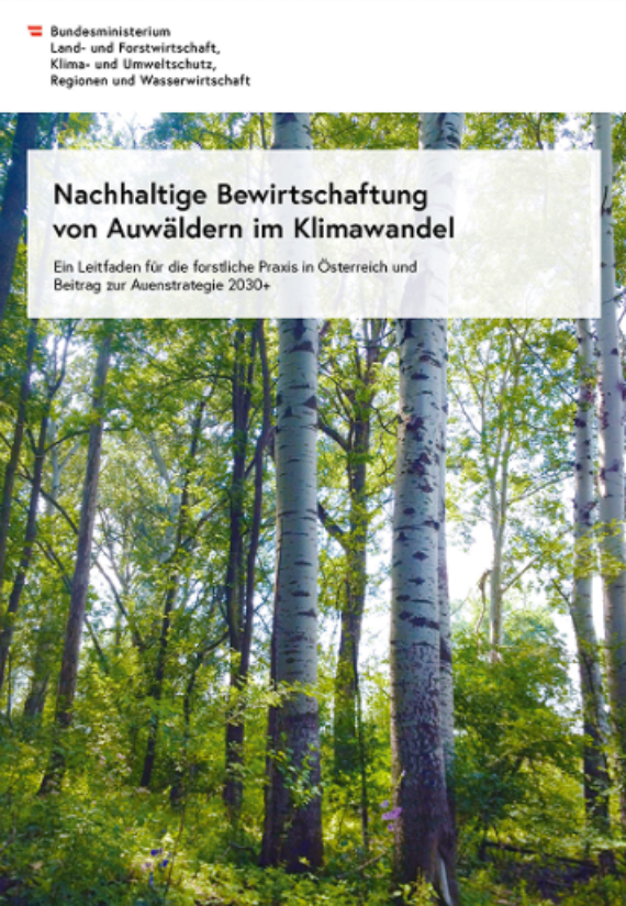 Leitfaden Auwälder