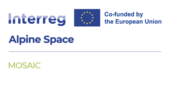 Logo MOSAIC