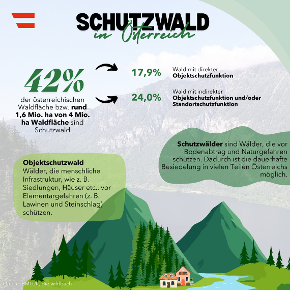 Österreichs Schutzwald - Fakten und Zahlen auf einen Blick