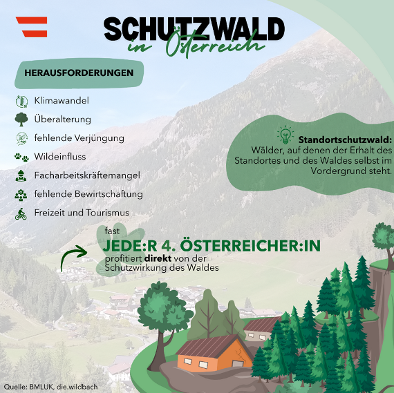 Österreichs Schutzwald - Fakten und Zahlen auf einen Blick